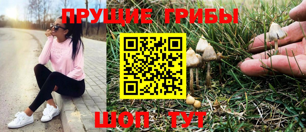 Галлюциногенные грибы прущие грибы Альметьевск